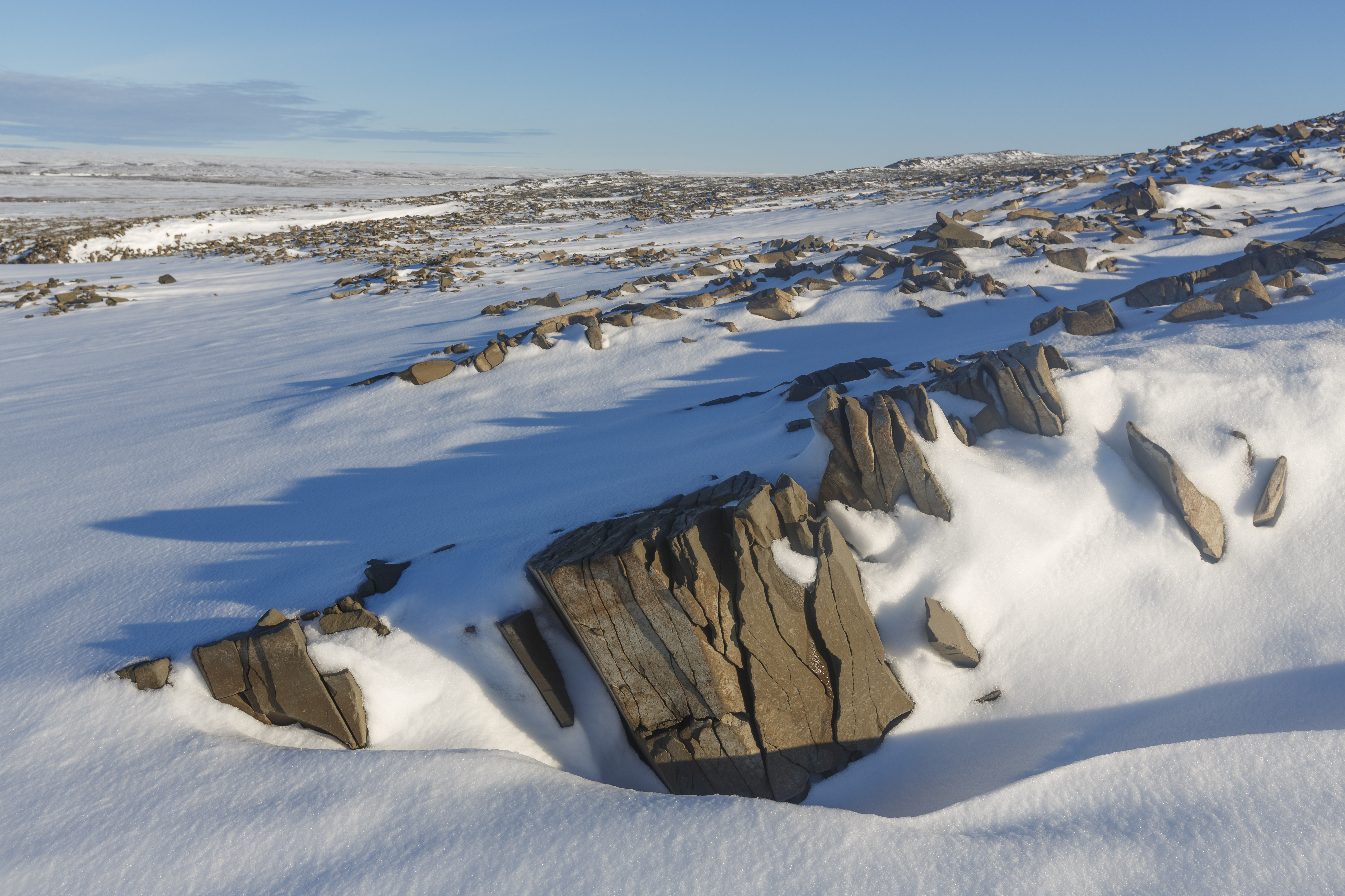 Russian arctic. Национальный парк русская Арктика. Национальный парк русская Арктика новая земля. Национальный парк «русская Арктика» тундра. Парк русская Арктика Архангельск.